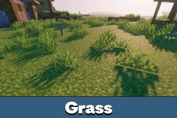 Grass from Dreamy Visuals Shader for Minecraft PE