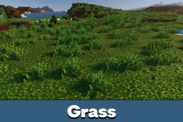 Grass from ZenXveda Shader for Minecraft PE
