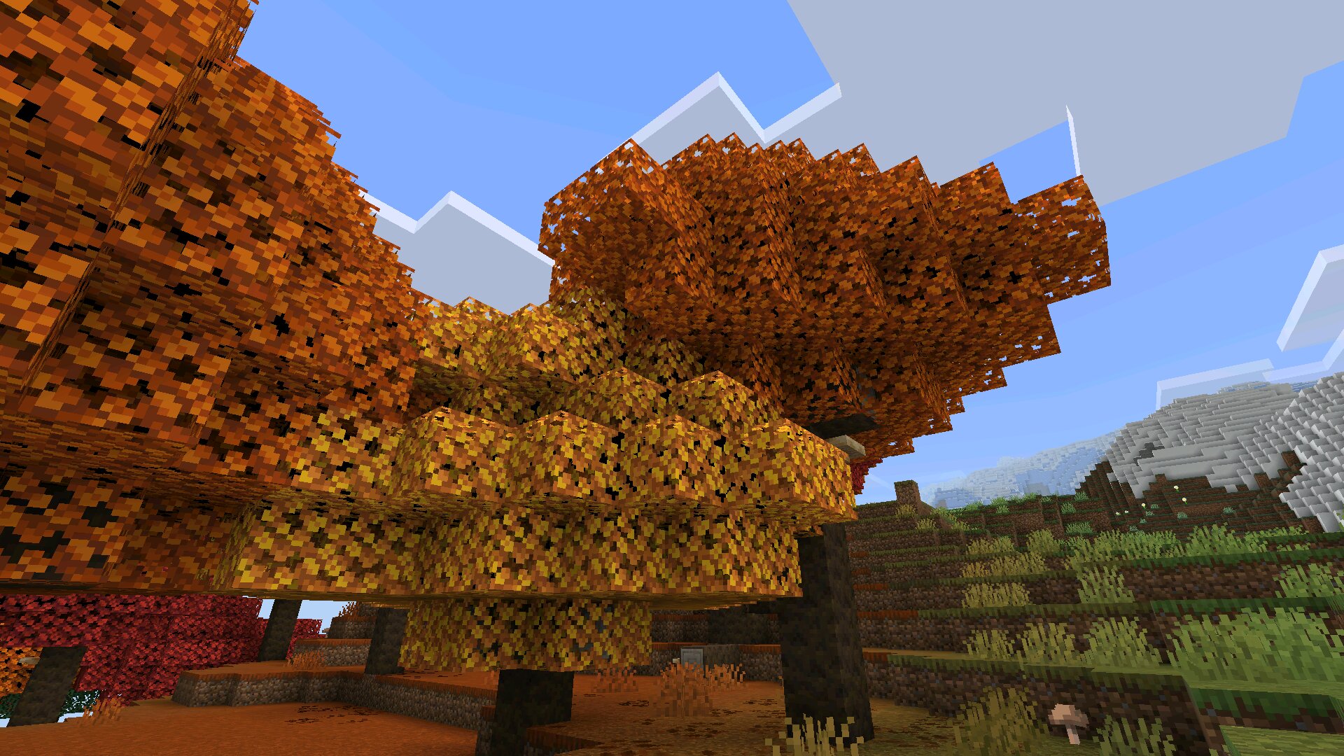Minecraft 264031 1264031 Apk ücretsiz Beta Sürüm Indir 