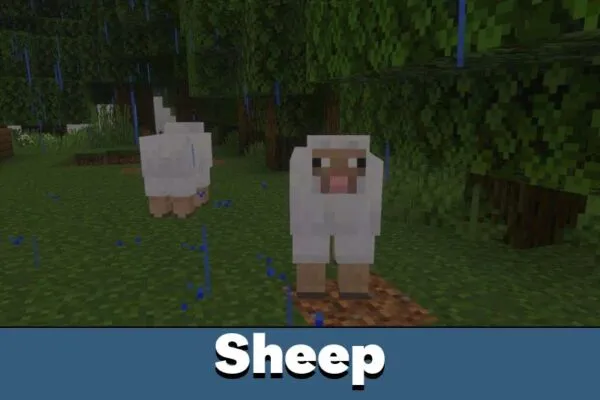 Sheep from Midnight Cabin Horror Map for Minecraft PE