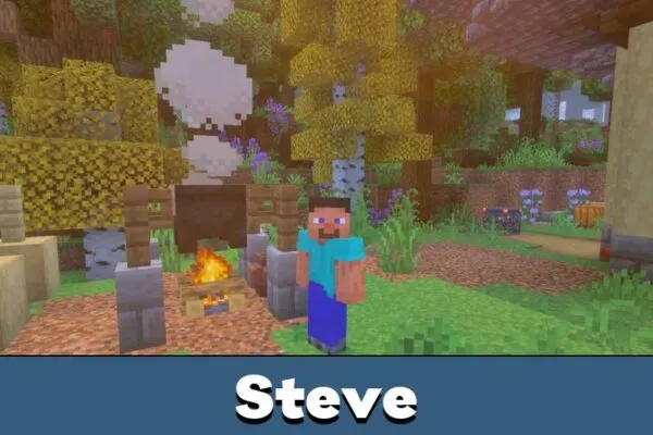 Steve from ม็อด RLCraft สำหรับ Minecraft PE