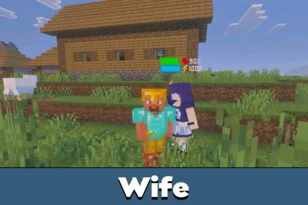 Wife from How Many Maids Mod for Minecraft PE
