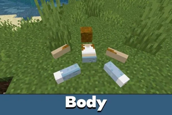Body from Sweet Dreams Mod for Minecraft PE