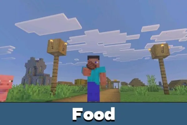 Food from Xnova Remastered Texture Pack for Minecraft PE