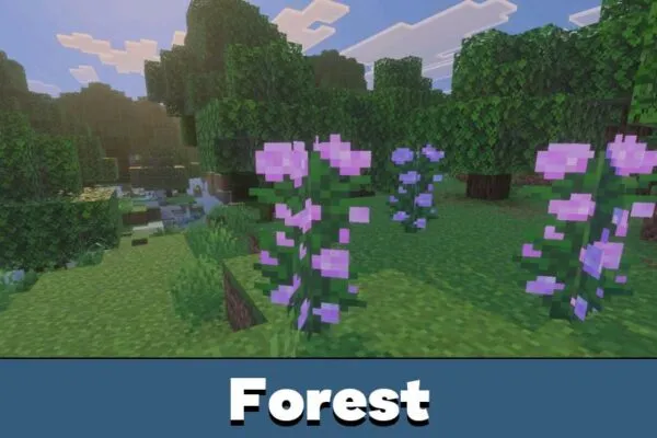 Forest Grafika Shader for Minecraft PE