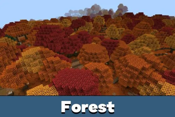 Forest from Minecraft 26.40