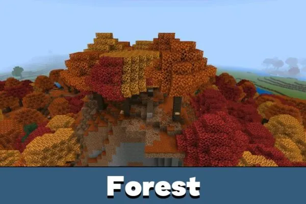 Forest from Minecraft 26
