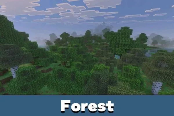 Forest from Newb Aero Shader for Minecraft PE