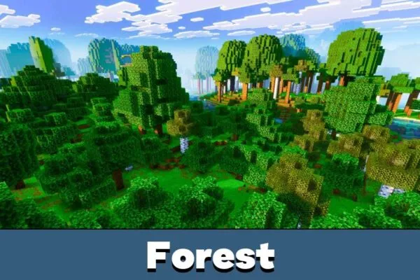 Forest from Nexora Visuals Shader for Minecraft PE