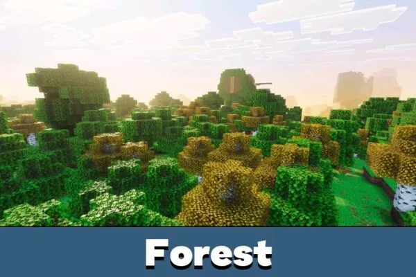 Forest from PureTone Visuals Shader for Minecraft Bedrock