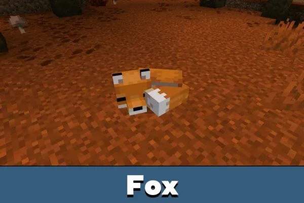 Fox from Minecraft 26.40