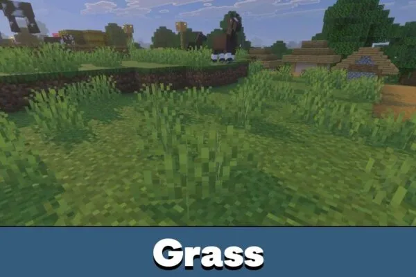 Grass from Newb Aero Shader for Minecraft PE