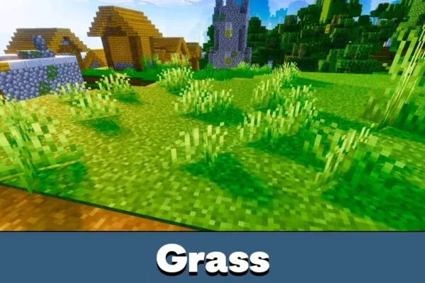 Grass from Nexora Visuals Shader for Minecraft PE