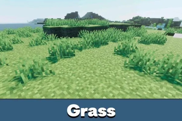 Grass from Trailer Visuals Shader Minecraft PE