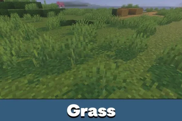 Grass from Vulkan Core Texture Pack for Minecraft PE