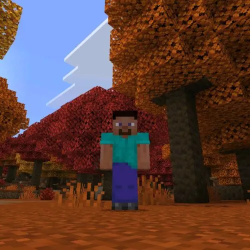 Download Minecraft 26.45