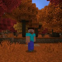 Download Minecraft 26.50.27 (1.26.50.27)