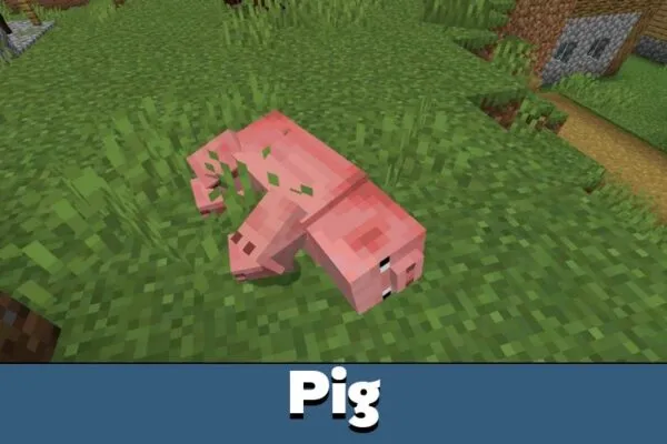 Pig from Real Ragdoll Mod for Minecraft Bedrock