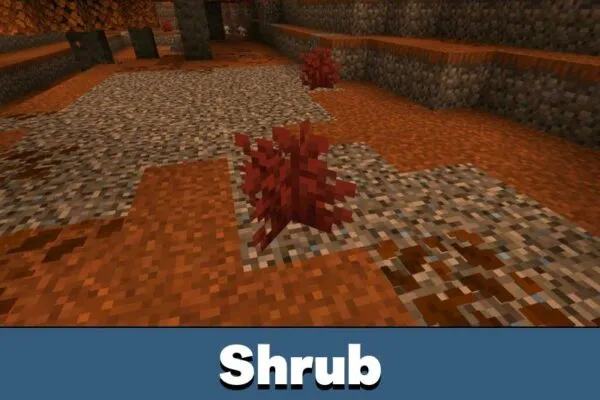 Shrub from Minecraft 26.40