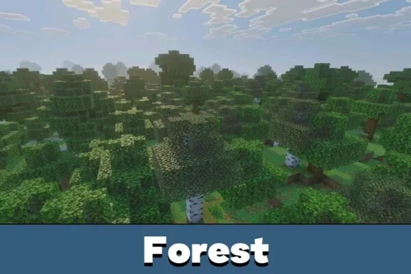 Forest from ACD Shaders for Minecraft Bedrock