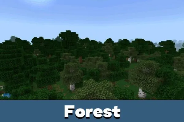 Forest from Debo Shader for Minecraft Bedrock