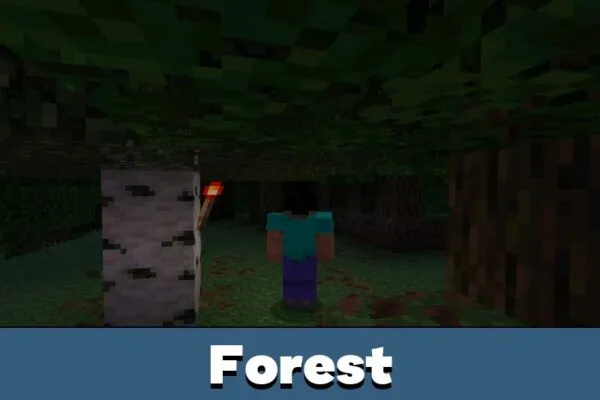 Forest from The Disturbed Mod for Minecraft Bedrock