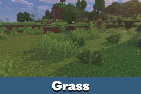 Grass from Newb x Zacraft Shader for Minecraft Bedrock
