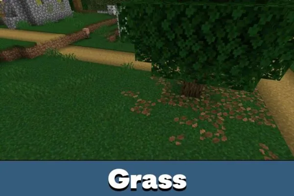 Grass from Debo Shader for Minecraft Bedrock