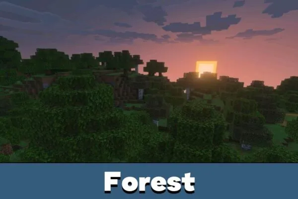 Forest from Newb Aerotion Shader for Minecraft Bedrock