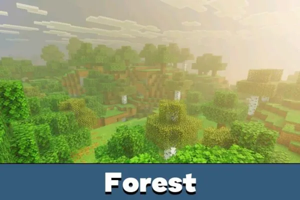 Forest from Tiamat Visuals Shader for Minecraft Bedrock
