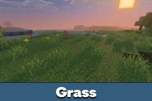 Grass from Newb Aerotion Shader for Minecraft Bedrock