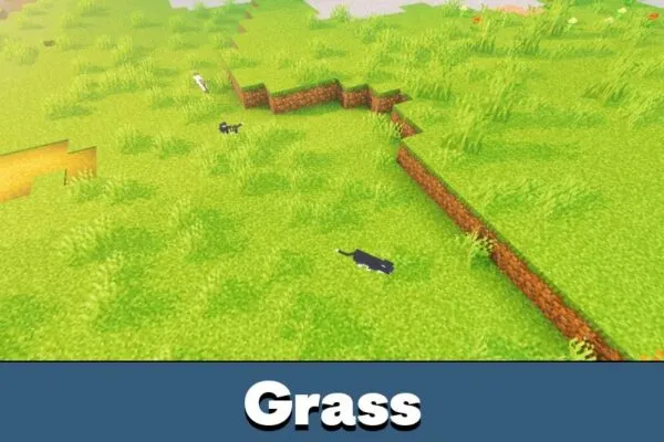 Grass from Tiamat Visuals Shader for Minecraft Bedrock